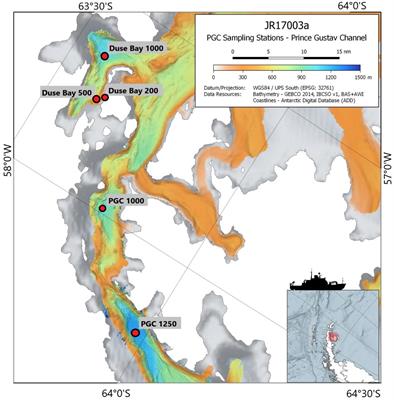 Combining Traditional Taxonomy and Metabarcoding: Assemblage Structure of Nematodes in the Shelf Sediments of the Eastern Antarctic Peninsula